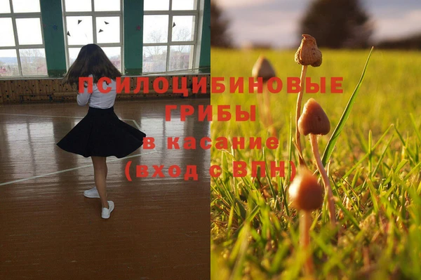 герыч Бугульма
